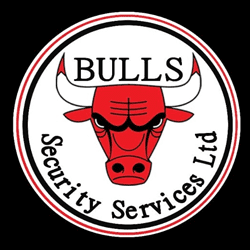 Bulls Security Services logo
