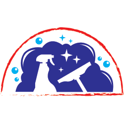 Digital Sanitation Services logo