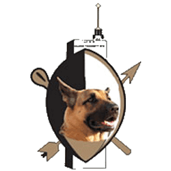 Pada Security & Alarm Systems logo