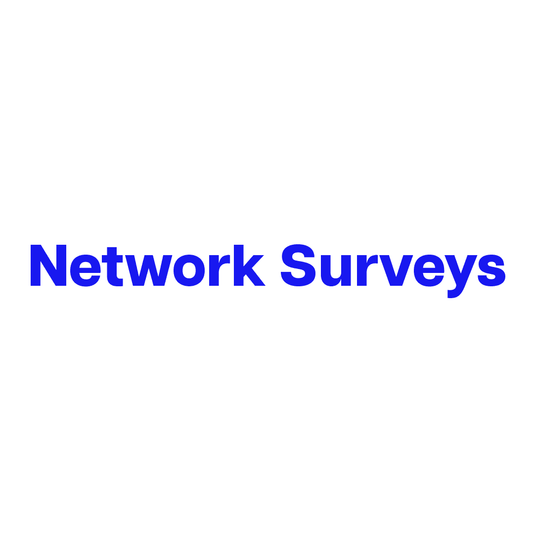 Network Surveys logo