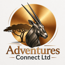 ADVENTURES CONNECT